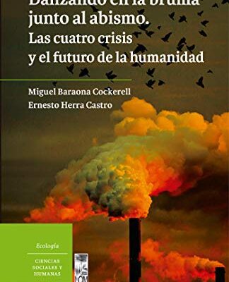 خرید و دانلود نسخه کامل کتاب Danzando en la bruma junto al abismo (Spanish Edition) –  +  pdf