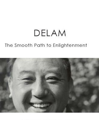 خرید و دانلود نسخه کامل کتاب Delam: The Smooth Path to Enlightenment –  +  pdf