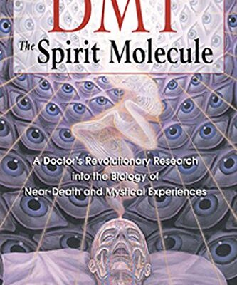 خرید و دانلود نسخه کامل کتاب DMT: The Spirit Molecule: A Doctor’s Revolutionary Research into the Biology of Near-Death and Mystical Experiences –  +  Pdf