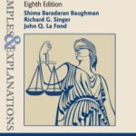 خرید و دانلود نسخه کامل کتاب Examples & Explanations for Criminal Law (8th Edition) –  +  Pdf