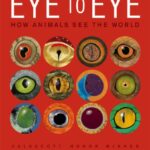 خرید و دانلود نسخه کامل کتاب Eye to Eye: How Animals See The World –  Pdf