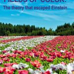 خرید و دانلود نسخه کامل کتاب Fields of Color: The theory that escaped Einstein –  +  PDF