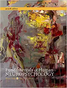 خرید و دانلود نسخه کامل کتاب Fundamentals of Human Neuropsychology (7th Edition) BY Kolb – Pdf_683d7e83af29c.webp خرید و دانلود نسخه کامل کتاب Fundamentals of Human Neuropsychology (7th Edition) BY Kolb – Pdf