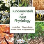 خرید و دانلود نسخه کامل کتاب Fundamentals of Plant Physiology BY Lincoln Taiz – pdf