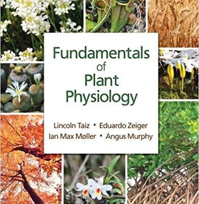 خرید و دانلود نسخه کامل کتاب Fundamentals of Plant Physiology BY Lincoln Taiz – pdf