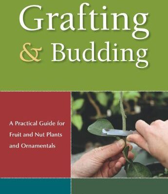 خرید و دانلود نسخه کامل کتاب Grafting and Budding: A Practical Guide for Fruit and Nut Plants and Ornamentals (Landlinks Press) – PDF