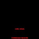 خرید و دانلود نسخه کامل کتاب Handbook of Zaganian Magick –  +  pdf