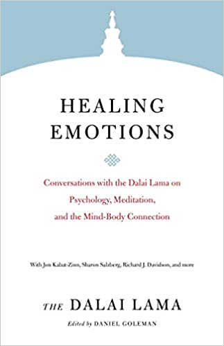 خرید و دانلود نسخه کامل کتاب Healing Emotions: Conversations with the Dalai Lama on Psychology, Meditation, and the Mind-Body Connection – + Pdf_68461384e489f.jpeg خرید و دانلود نسخه کامل کتاب Healing Emotions: Conversations with the Dalai Lama on Psychology, Meditation, and the Mind-Body Connection – + Pdf
