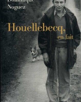 خرید و دانلود نسخه کامل کتاب Houellebecq, en fait (Littérature Française (33)) (French Edition) – + pdf