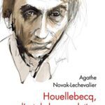 خرید و دانلود نسخه کامل کتاب Houellebecq, l’art de la consolation (Essais – Documents) (French Edition) –  +  pdf