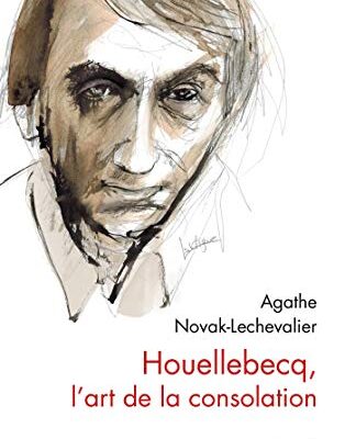 خرید و دانلود نسخه کامل کتاب Houellebecq, l’art de la consolation (Essais – Documents) (French Edition) –  +  pdf