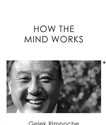 خرید و دانلود نسخه کامل کتاب How the Mind Works –  +  pdf