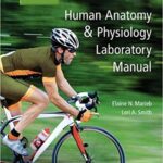 خرید و دانلود نسخه کامل کتاب Human Anatomy & Physiology Laboratory Manual, Main Version (12th Edition) [2019] –  pdf