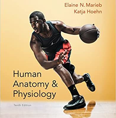 خرید و دانلود نسخه کامل کتاب Human Anatomy & Physiology (Marieb, Human Anatomy & Physiology) (10th Edition) – PDF