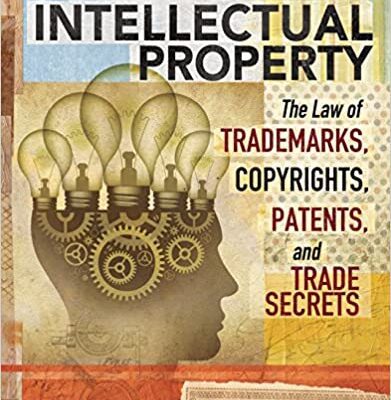 خرید و دانلود نسخه کامل کتاب Intellectual Property: The Law of Trademarks, Copyrights, Patents, and Trade Secrets (5th Edition) –  PDF