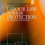 خرید و دانلود نسخه کامل کتاب Labour Law and Worker Protection in Developing Countries