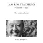خرید و دانلود نسخه کامل کتاب Lam Rim: Medium Scope –  +  pdf