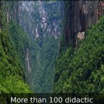 خرید و دانلود نسخه کامل کتاب Learn Spanish! More than 100 didactic texts to learn and improve your Spanish (Spanish Edition)[2016] –  +  pdf
