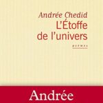 خرید و دانلود نسخه کامل کتاب L’Etoffe de l’univers (French)