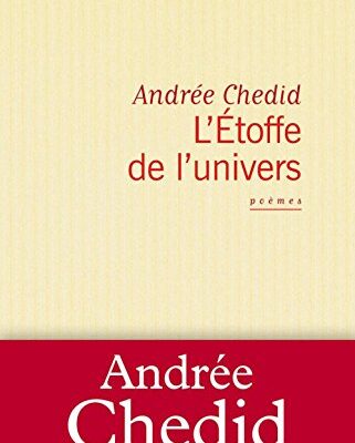 خرید و دانلود نسخه کامل کتاب L’Etoffe de l’univers (French)