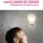 خرید و دانلود نسخه کامل کتاب L’examen clinique de l’intelligence de l’enfant: Fondements et pratique du Wisc-V (PSY-EMD) (French Edition)