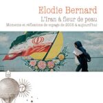 خرید و دانلود نسخه کامل کتاب L’Iran à fleur de peau –  +  pdf