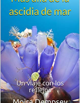خرید و دانلود نسخه کامل کتاب Más allá de la ascidia de mar: Un viaje con los reflejos (Spanish Edition) –  +  Pdf
