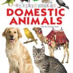 خرید و دانلود نسخه کامل کتاب My First Board Book of Domestic Animals –  PDF