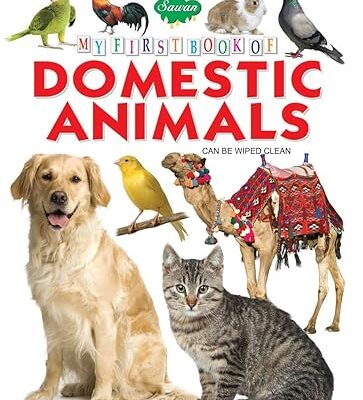 خرید و دانلود نسخه کامل کتاب My First Board Book of Domestic Animals – PDF