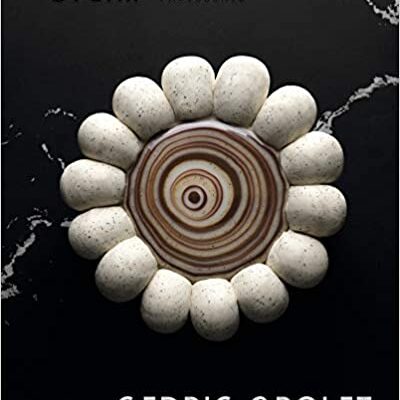 خرید و دانلود نسخه کامل کتاب Opera Patisserie BY Grolet – + pdf