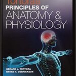 خرید و دانلود نسخه کامل کتاب Principles of Anatomy and Physiology Set (15th Edition) –  PDF