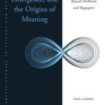 خرید و دانلود نسخه کامل کتاب Religion, Emergence, and the Origins of Meaning:  Beyond Durkheim and Rappaport (Philosophical Studies in Science and Religion)[2015] –  PDF