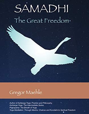 خرید و دانلود نسخه کامل کتاب Samadhi The Great Freedom by Gregor Maehle – + pdf