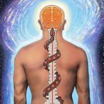 خرید و دانلود نسخه کامل کتاب Serpent Rising: The Kundalini Compendium: The World’s Most Comprehensive Body of Work on Human Energy Potential –  +  Pdf