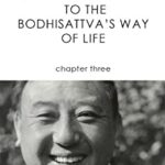 خرید و دانلود نسخه کامل کتاب Shantideva’s Guide to the Bodhisattva’s Way of Life: Chapter 3 –  +  pdf