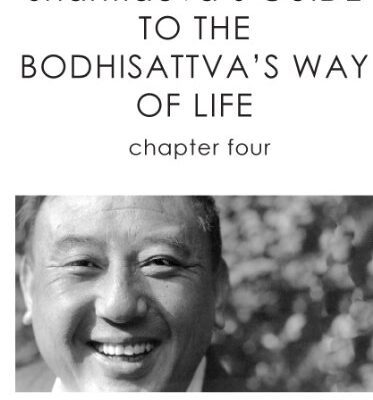 خرید و دانلود نسخه کامل کتاب Shantideva’s Guide to the Bodhisattva’s Way of Life: Chapter 4 –  +  pdf