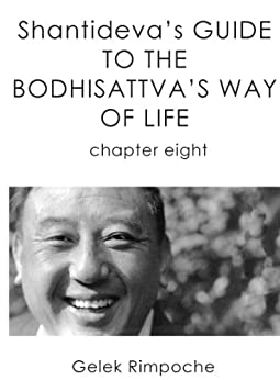 خرید و دانلود نسخه کامل کتاب Shantideva’s Guide to the Bodhisattva’s Way of Life: Chapter 8  –  +  pdf