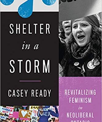 خرید و دانلود نسخه کامل کتاب Shelter in a Storm:  Revitalizing Feminism in Neoliberal Ontario