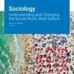 خرید و دانلود نسخه کامل کتاب Sociology: Understanding and Changing the Social World, Brief Edition, Version 2.0 –  pdf