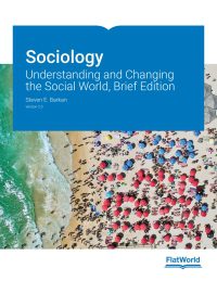 خرید و دانلود نسخه کامل کتاب Sociology: Understanding and Changing the Social World, Brief Edition, Version 2.0 –  pdf