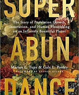 خرید و دانلود نسخه کامل کتاب Superabundance: The Story of Population Growth, Innovation, and Human Flourishing on an Infinitely Bountiful Planet –  Pdf