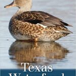 خرید و دانلود نسخه کامل کتاب Texas Waterfowl (Volume 46) (W. L. Moody Jr. Natural History Series)  –  +  pdf