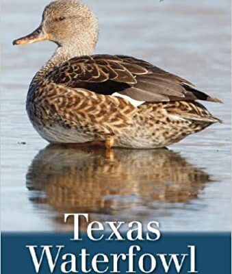 خرید و دانلود نسخه کامل کتاب Texas Waterfowl (Volume 46) (W. L. Moody Jr. Natural History Series)  –  +  pdf
