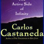 خرید و دانلود نسخه کامل کتاب The active side of infinity –  +  PDF