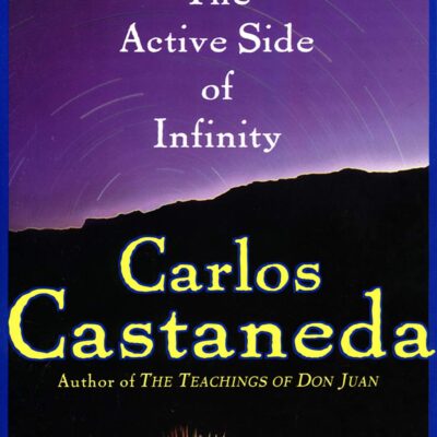 خرید و دانلود نسخه کامل کتاب The active side of infinity – + PDF