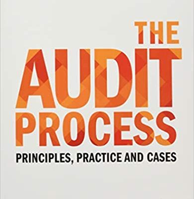 خرید و دانلود نسخه کامل کتاب The Audit Process (7ed Edition) – PDF