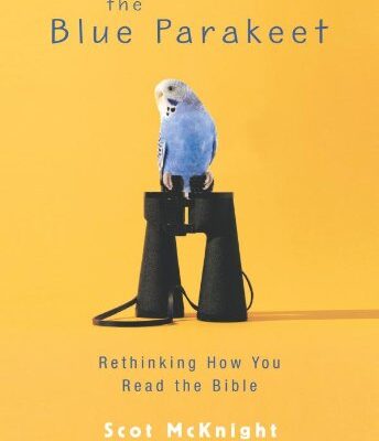 خرید و دانلود نسخه کامل کتاب The Blue Parakeet: Rethinking How You Read the Bible – PDF