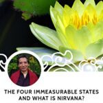 خرید و دانلود نسخه کامل کتاب The Four Immeasurable States and What is Nirvana? –  +  pdf