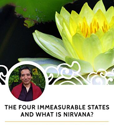 خرید و دانلود نسخه کامل کتاب The Four Immeasurable States and What is Nirvana? –  +  pdf