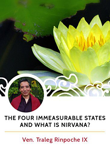 خرید و دانلود نسخه کامل کتاب The Four Immeasurable States and What is Nirvana? – + pdf_684611b7d3183.jpeg خرید و دانلود نسخه کامل کتاب The Four Immeasurable States and What is Nirvana? – + pdf